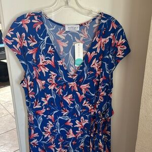 Kaleigh summer dress, sold by StitchFix. XL, Bright Blue and pink floral pattern